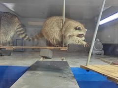 -大连圣亚海洋世界