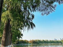 -东湖听涛景区