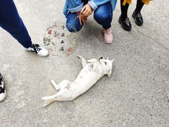 -乌托邦轰趴日租聚会别墅(先生的院子店)