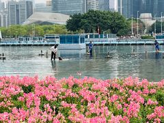 -海心沙亚运公园