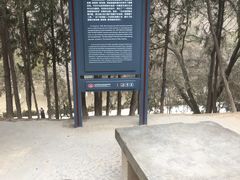 -延安杨家岭革命旧址