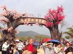 -天适樱花悠乐园