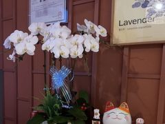 -LANN I 蘭·泰式古法按摩(高岛屋百货店)