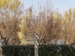 -西安汉城湖景区