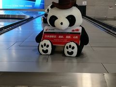-温州龙湾国际机场