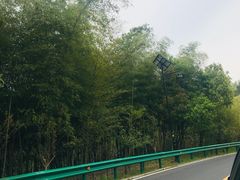 -南京市无想山景区