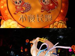 -长鹿旅游休博园