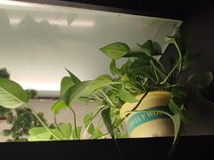 -悦慕·花满溪(新城吾悦店)