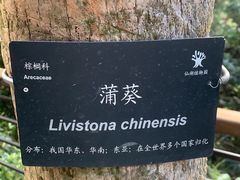 -深圳仙湖植物园