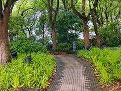 -北外滩滨江绿地