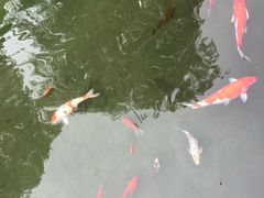 -春风习习