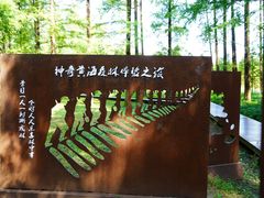 -黄海国家森林公园