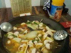 -鸭嘴鱼