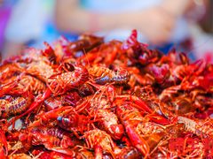 -霸王虾·麻辣小龙虾(清水河公园店)