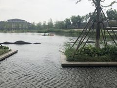 -南通滨江洲际酒店-西集自助餐厅