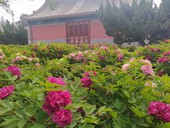 -大钟寺古钟博物馆