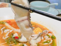 -青花椒花椒鱼(合生汇店)