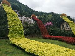 -新安江山水画廊风景区