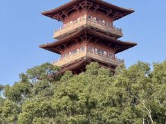 -香市公园-中国沉香文化博物馆