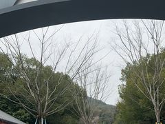 -杭州少年儿童公园