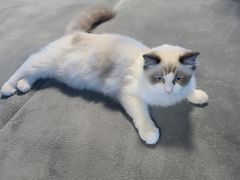 -零纪元VR体验馆·桌游(黄浦店)