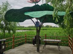 -白渔泡湿地公园