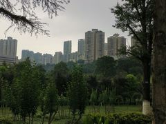 -龙头寺公园