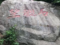-王顺山国家森林公园