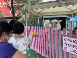 -萌宠亲子动物乐园(槐房万达店)