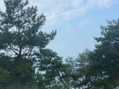-老淳安—伴山伴湖(千岛湖开元度假村店)