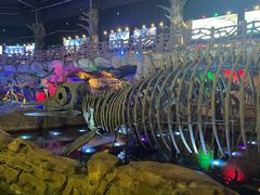 -南京银杏湖乐园