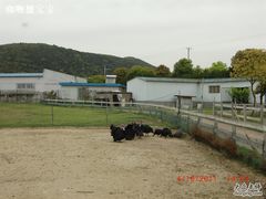 CIMG1714-苏州太湖西山岛开心农场