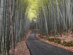 -苏州环秀晓筑养生度假村