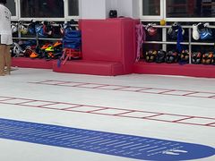 -津武堂散打搏击俱乐部(河西店)