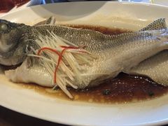 清蒸鲈鱼-惠丰堂饭庄·烤鸭·京味菜(西北旺·唐家岭店)