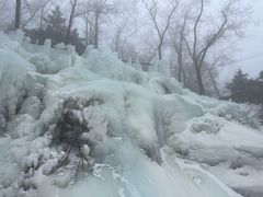 -鲁山国家森林公园