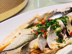 -千岛湖品鱼馆(钓鱼岛店)