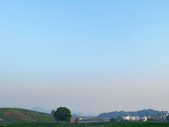 -龙坞茶村