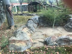 -武汉动物园