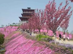 -古柏渡飞黄旅游区