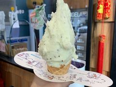 奇异果冰淇凌-野人先生现做冰淇淋(北京顺义祥云小镇店)