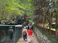 -雁荡山风景名胜区