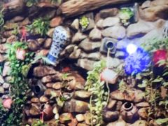 -一桶江山餐厅(松北店)