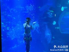 -太平洋海底世界