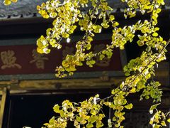 -西园戒幢律寺