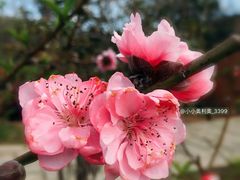 -水濂山森林公园