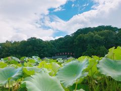 -古田会议纪念馆