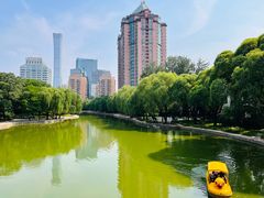 -团结湖公园