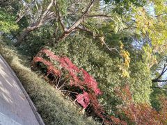 -苏州河梦清园环保主题公园