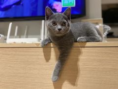 -美迦爱-牙专科·兔科·骨科诊疗中心(北苑店)